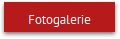 Fotogalerie